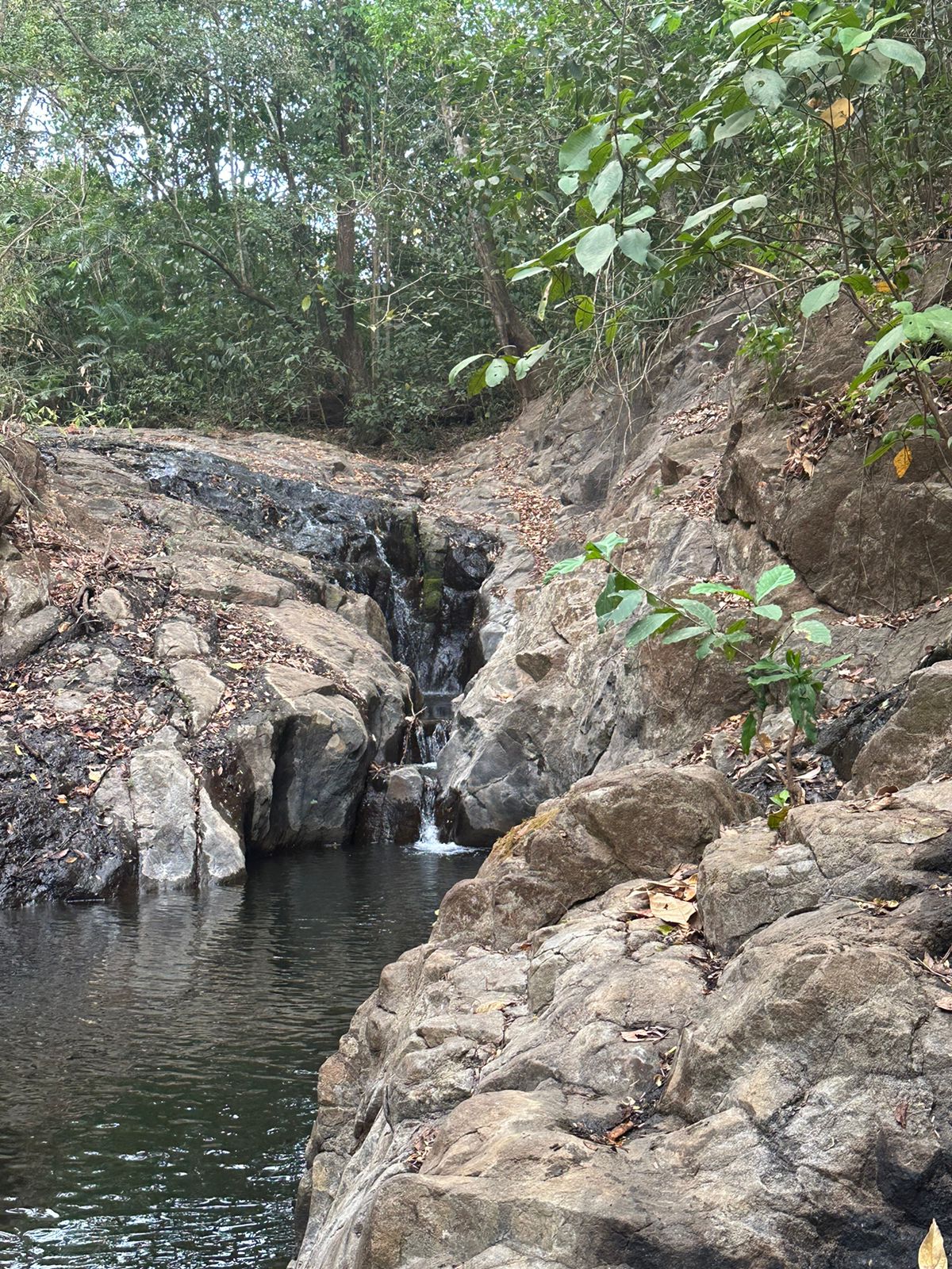 Serene river flowing through lush Guanacaste landscape