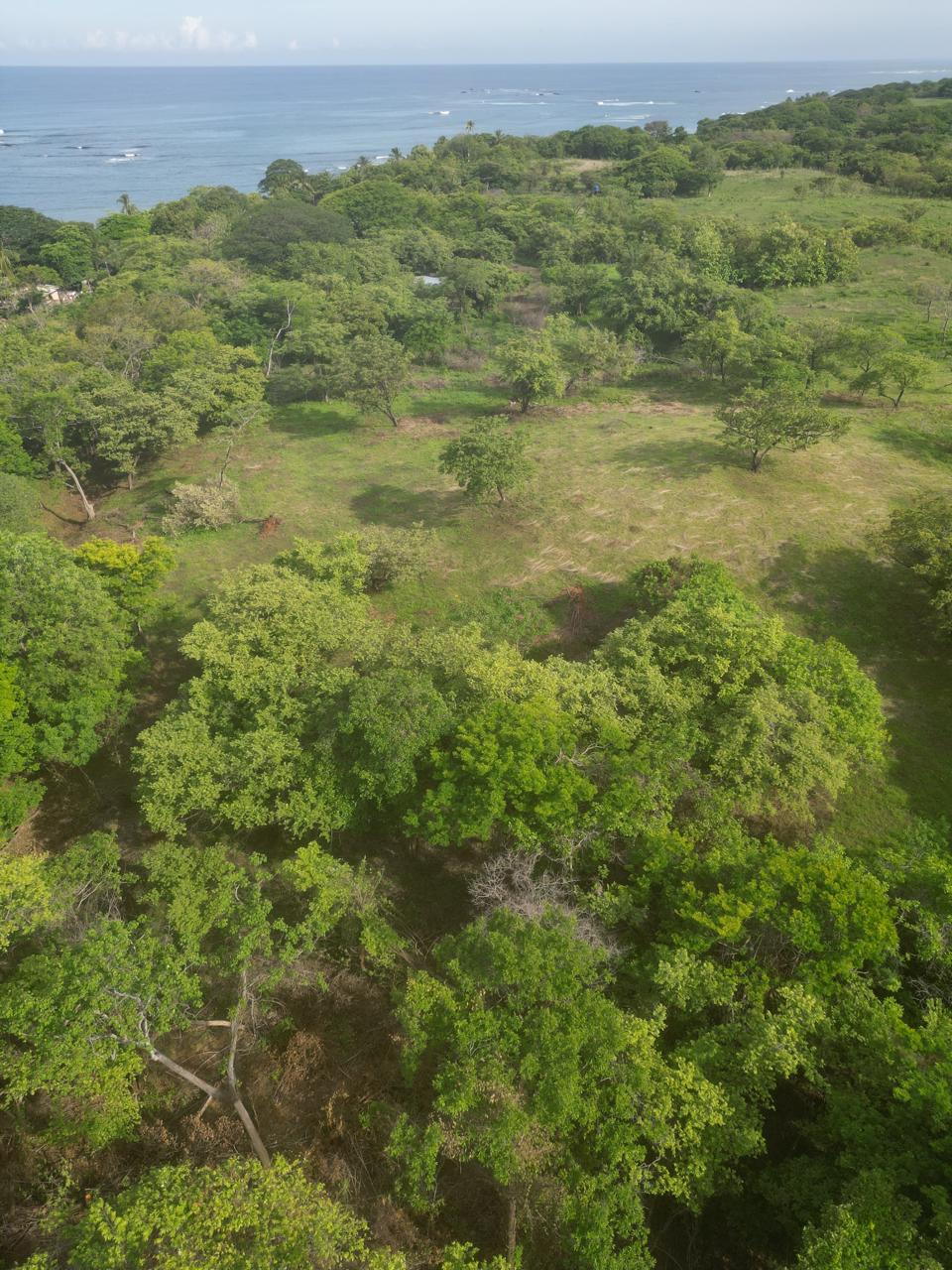 Topography of the Playa Lagarto development opportunity