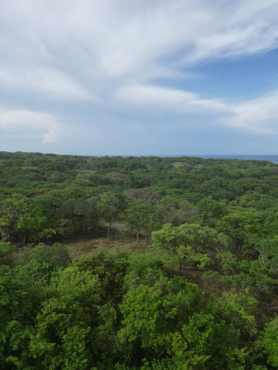 Playa Lagarto development opportunity: Beautiful farm for sale in Costa Rica