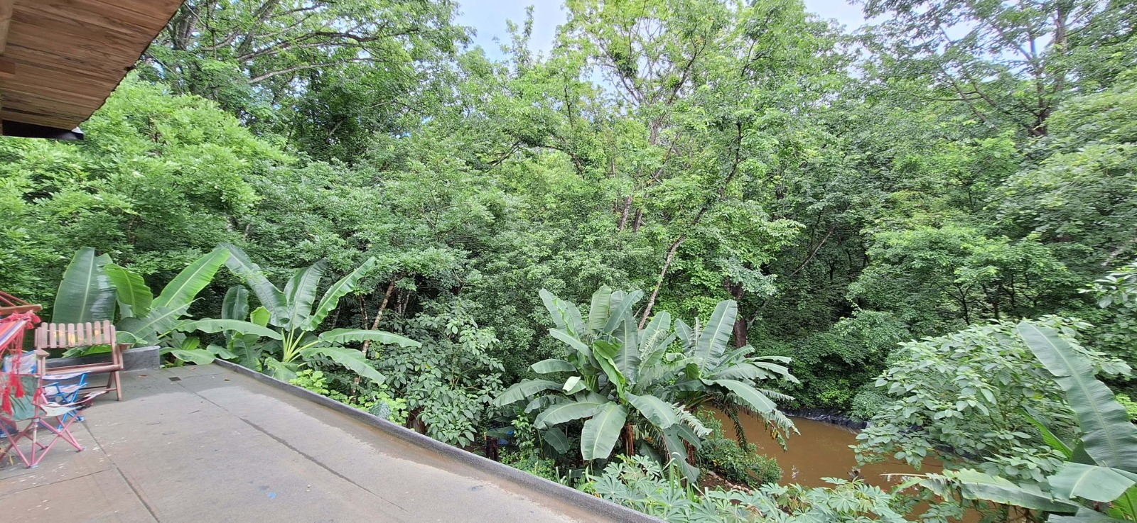 Lot with native and fruit trees in Marbella, Costa Rica