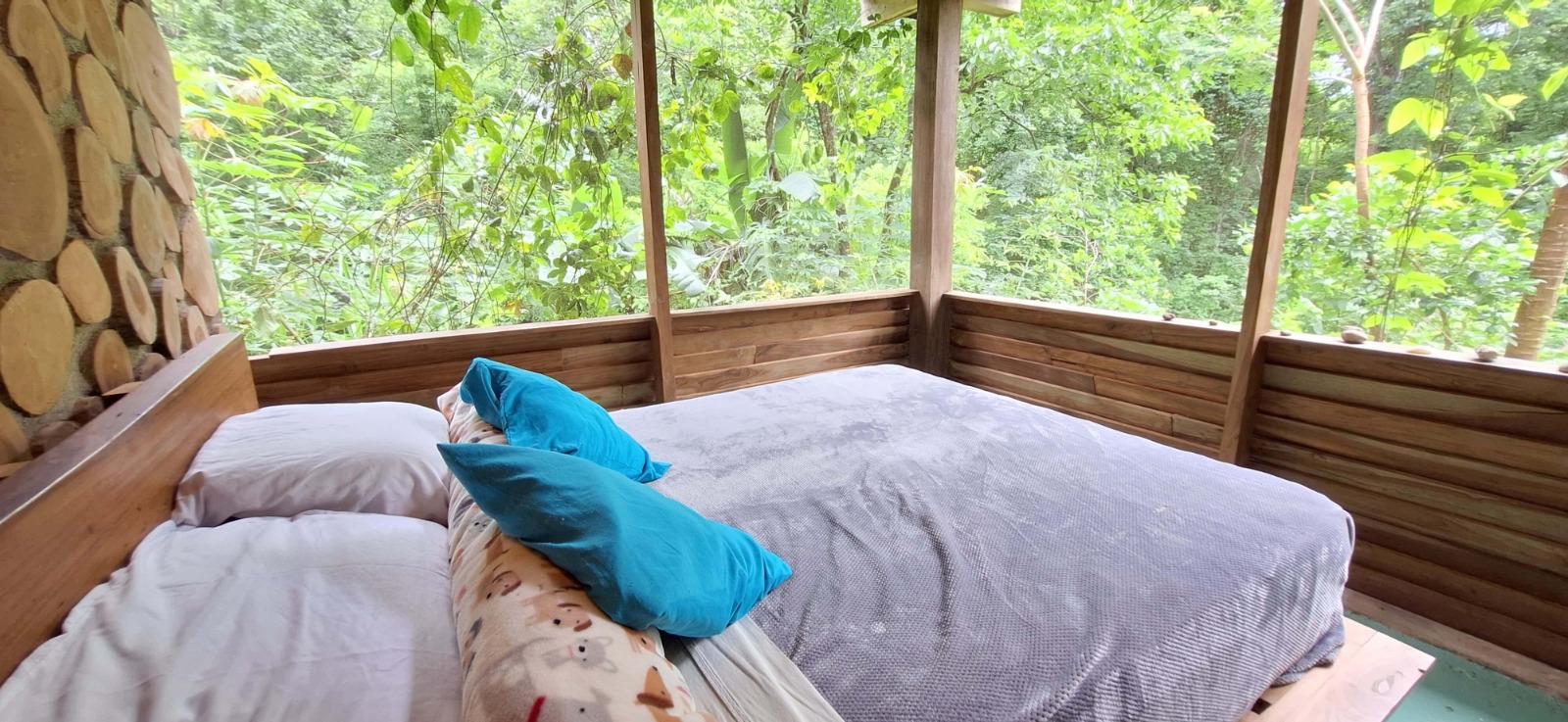 Spacious bedrooms on the first floor of the main house