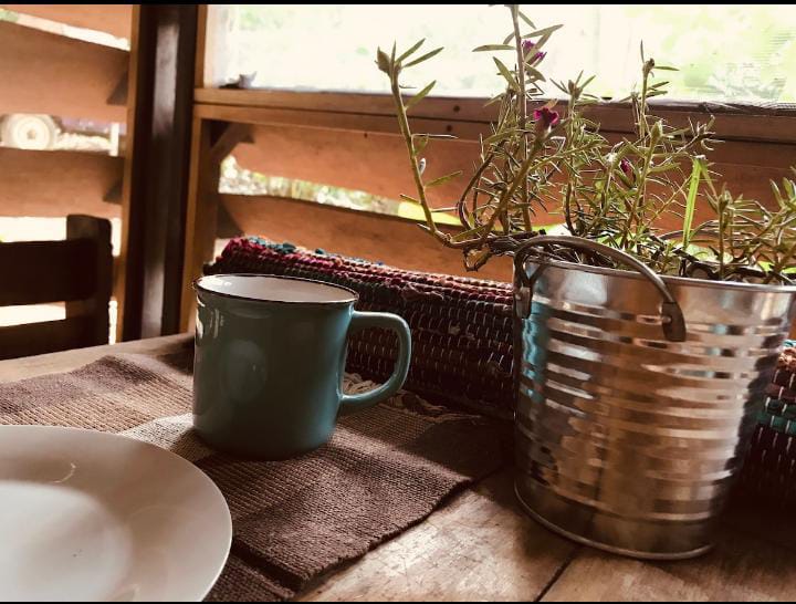 Kitchen in the Airbnb rental house