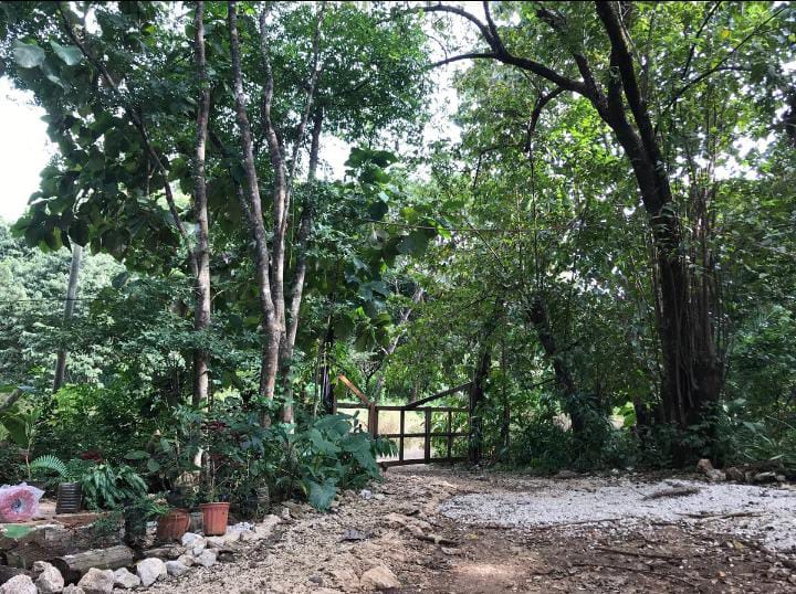 Lot with native and fruit trees in Marbella, Costa Rica