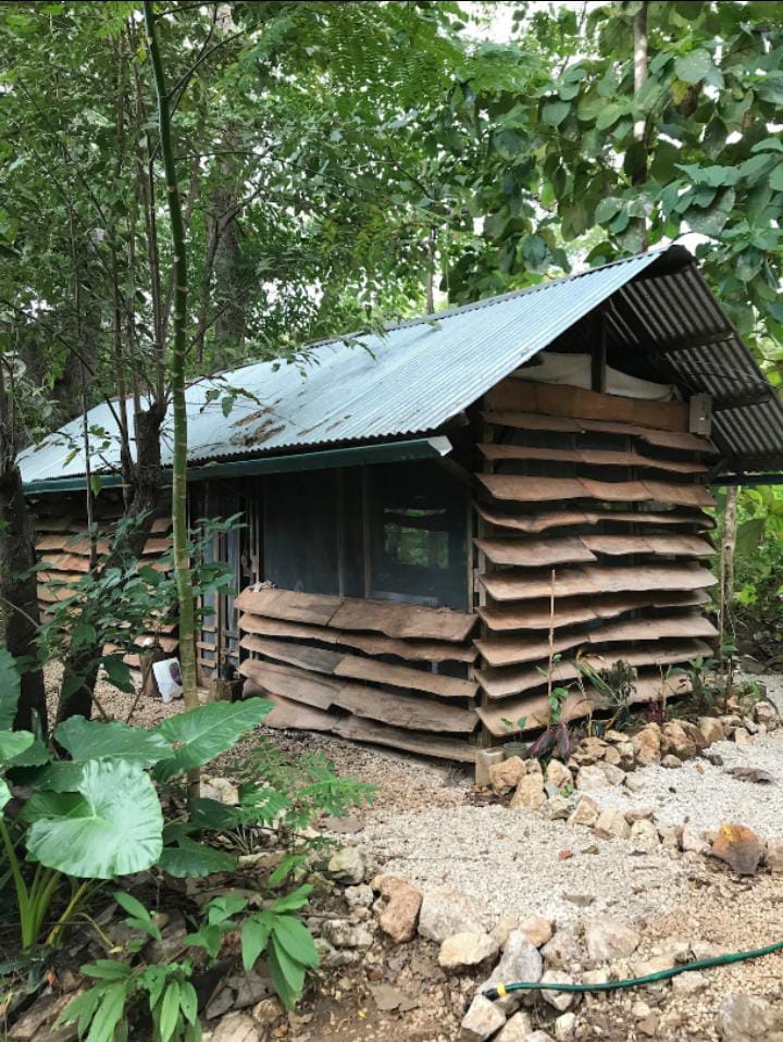 ot with native and fruit trees in Marbella, Costa Rica