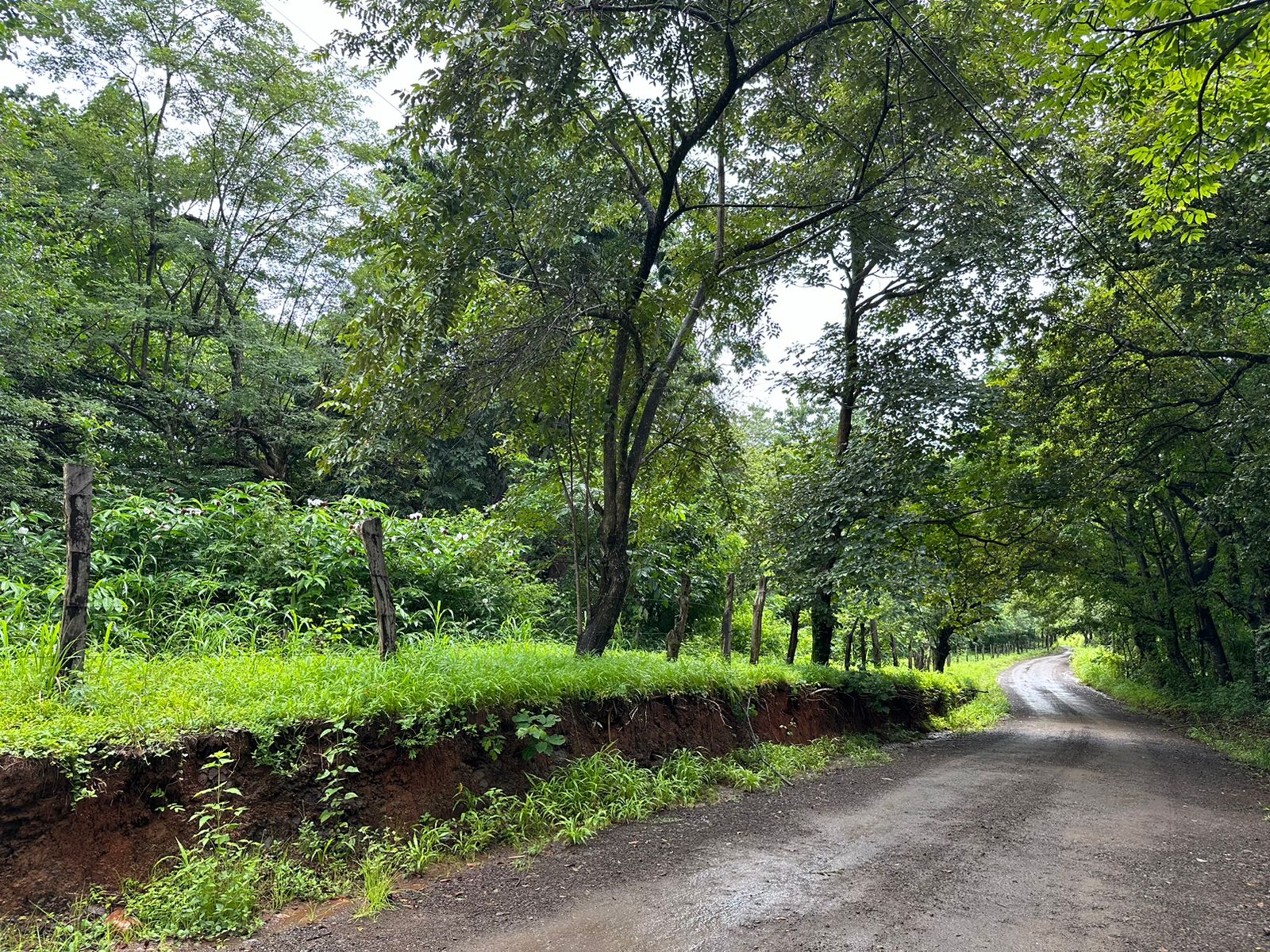 One-hectare property in Venado Guanacaste with public road frontage