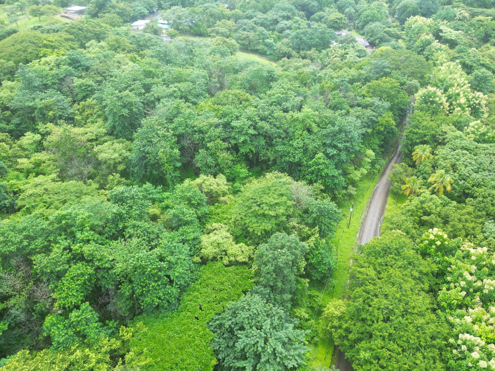 Hectare for sale in Venado Guanacaste with all available services