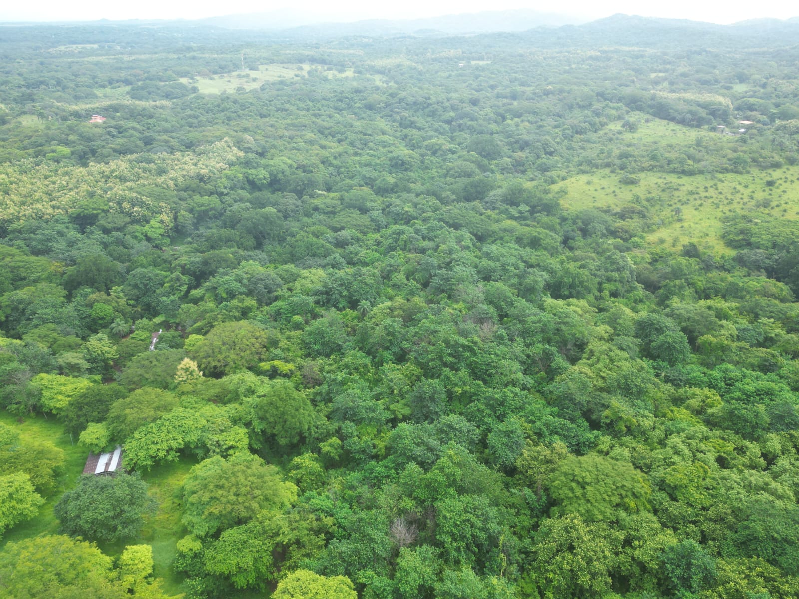 Hectare for sale in Venado Guanacaste with all available services