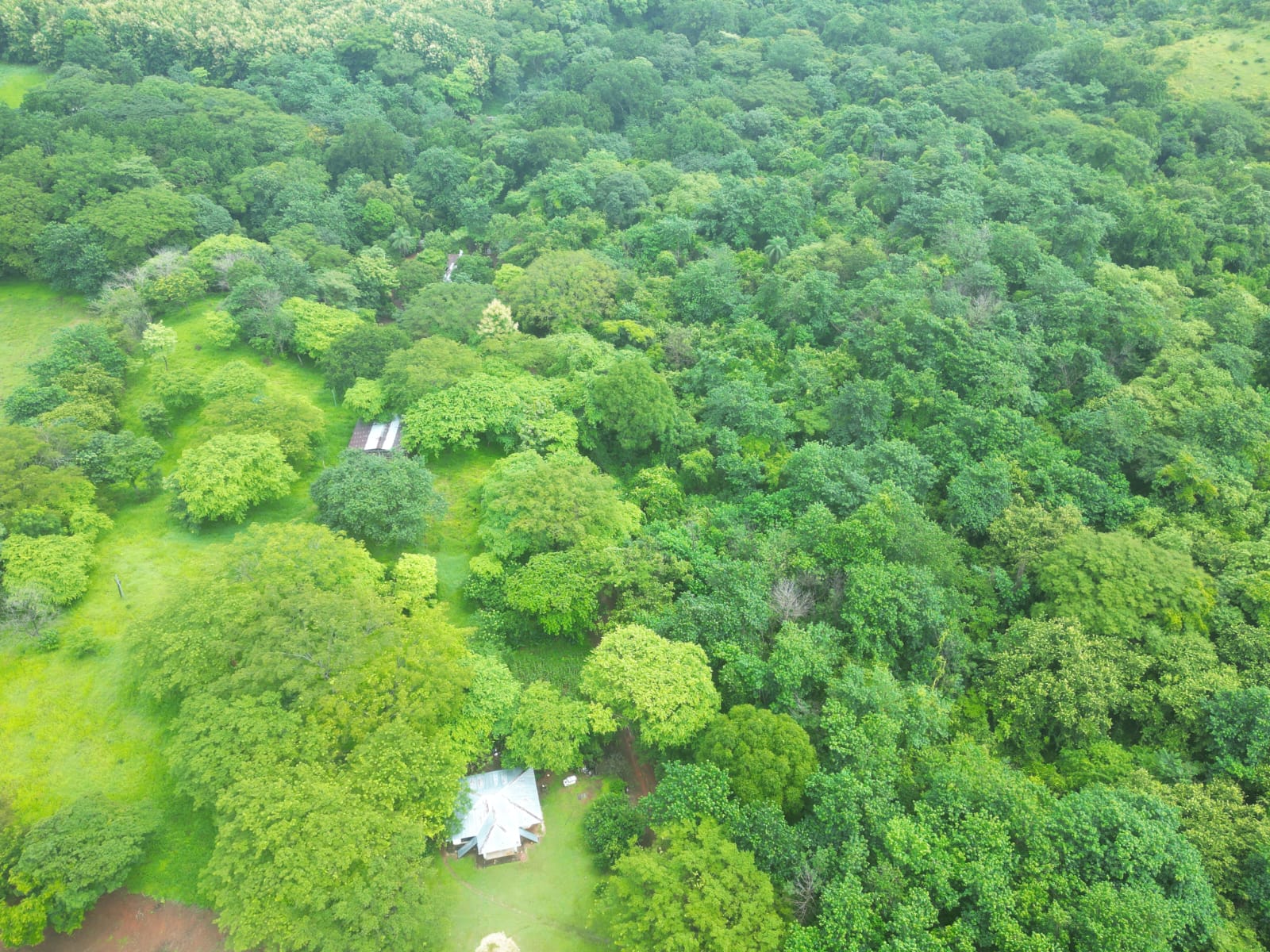 Hectare for sale in Venado Guanacaste with all available services